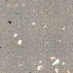 Pittiperla